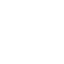 Custom Logo Icon