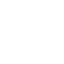 Custom Size Icon